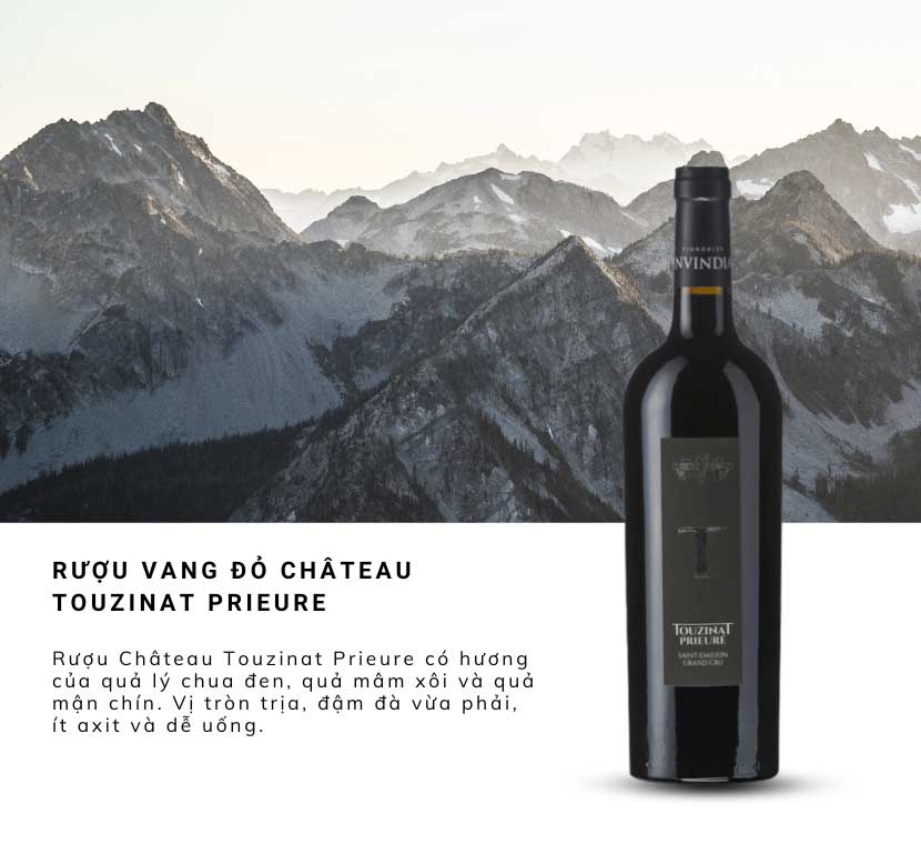 Rượu vang đỏ Château Touzinat Prieure