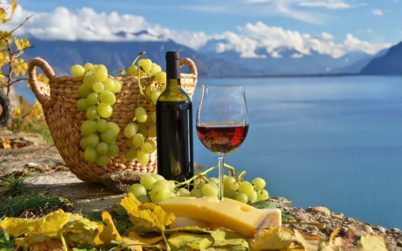 vung trong nho ruou vang phap 2 1 - Shop rượu vang nhập khẩu Wine MKL