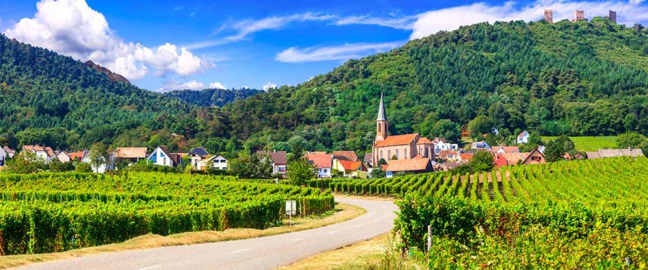 Các vùng trồng nho ở Pháp mà không phải ai cũng biết 2 cac vung trong nho o phap 5 - Shop rượu vang nhập khẩu Wine MKL