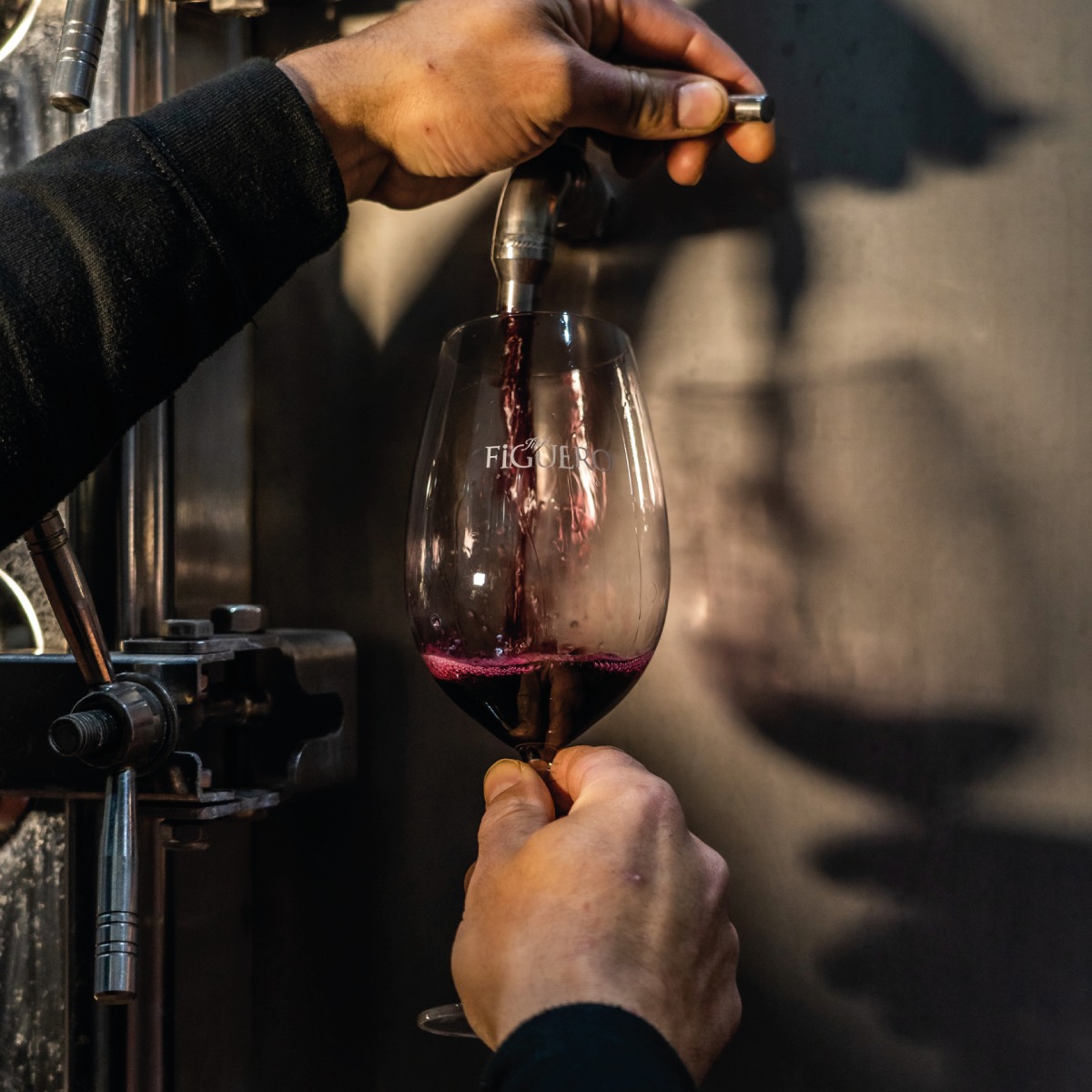 các yếu tố ảnh hưởng đến nồng độ cồn của rượu vang 