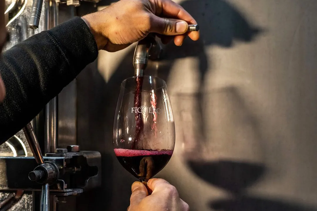 tannin trong rượu vang là gì