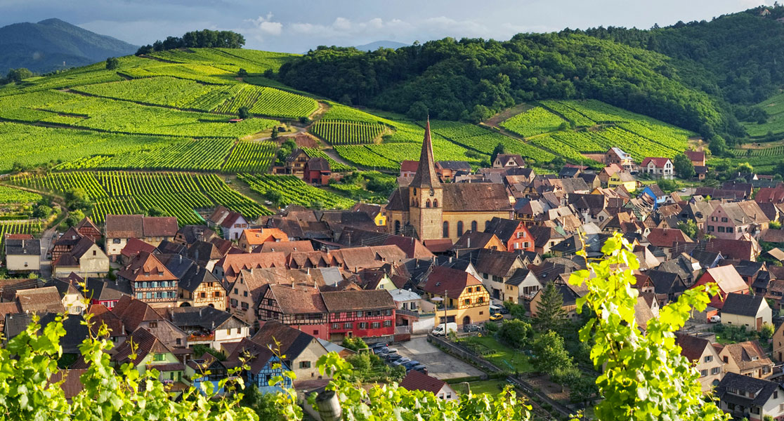 vùng làm rượu vang riesling alsace pháp
