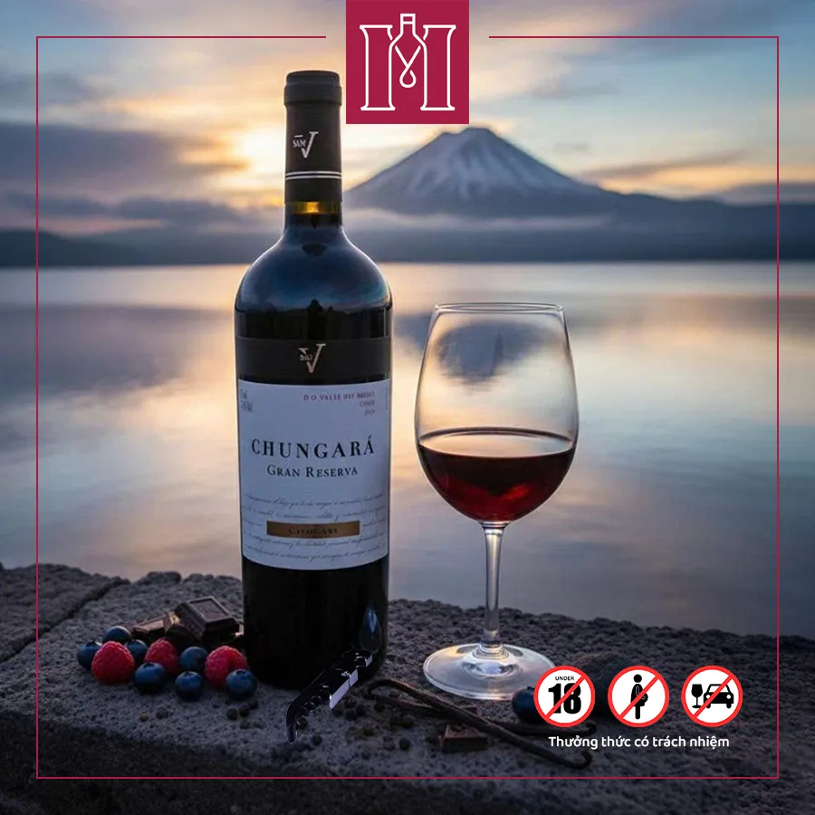 Rượu vang Chile San V Chungará Carmenere Gran Reserva 3 San V Vicente Chungará Carmenere Gran Reserva