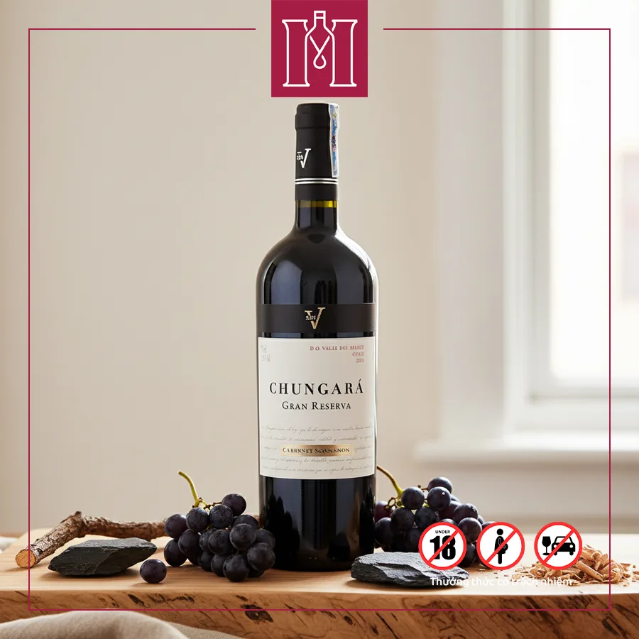 Rượu vang Chile San V Chungará Cabernet Sauvignon Gran Reserva 3 San V Chungará Cabernet Sauvignon Gran Reserva 750ml 13.5% nhập khẩu chính hãng
