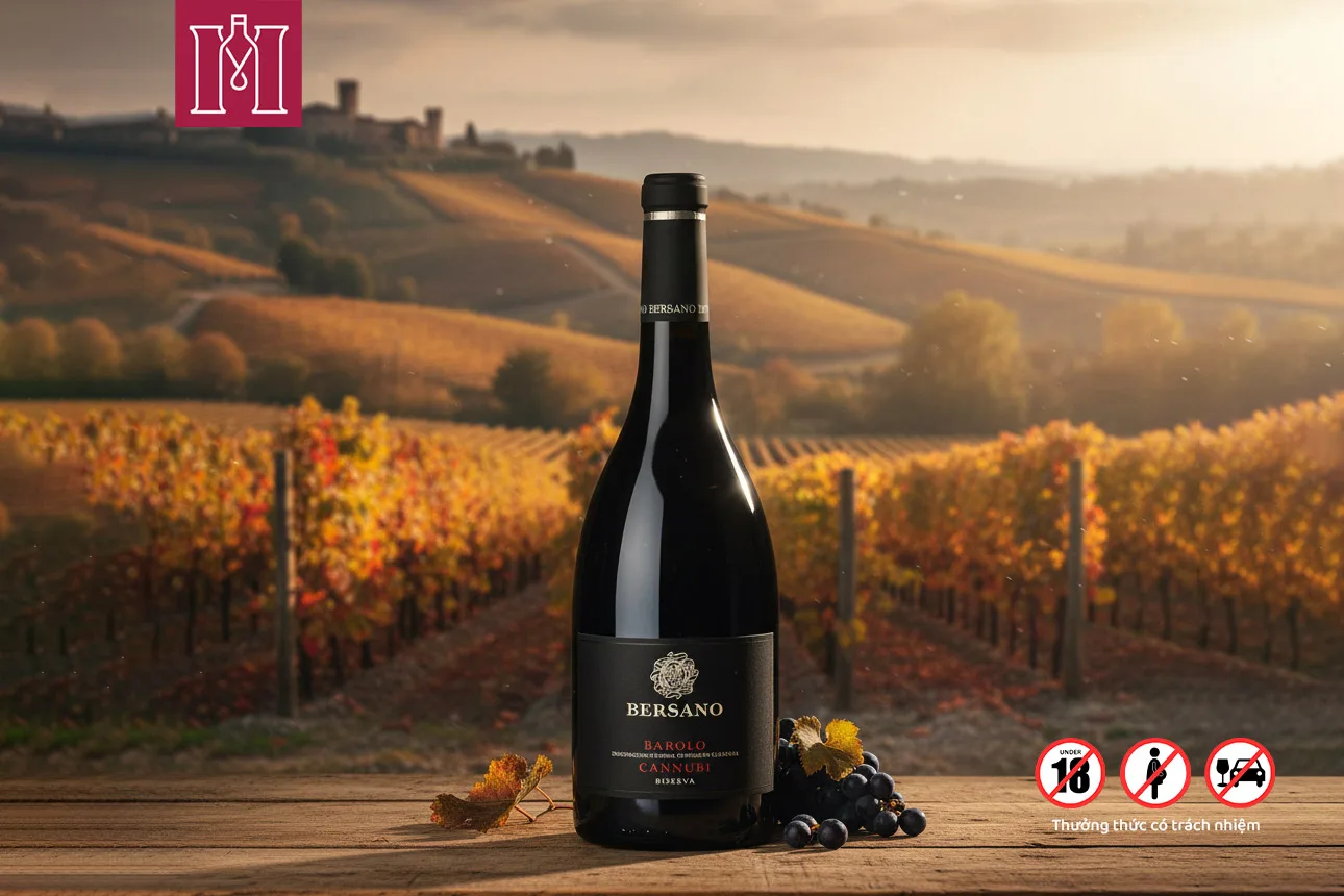 Rượu vang Ý Bersano Barolo Cannubi Riserva DOCG 2 bersano barolo cannubi reserva docg