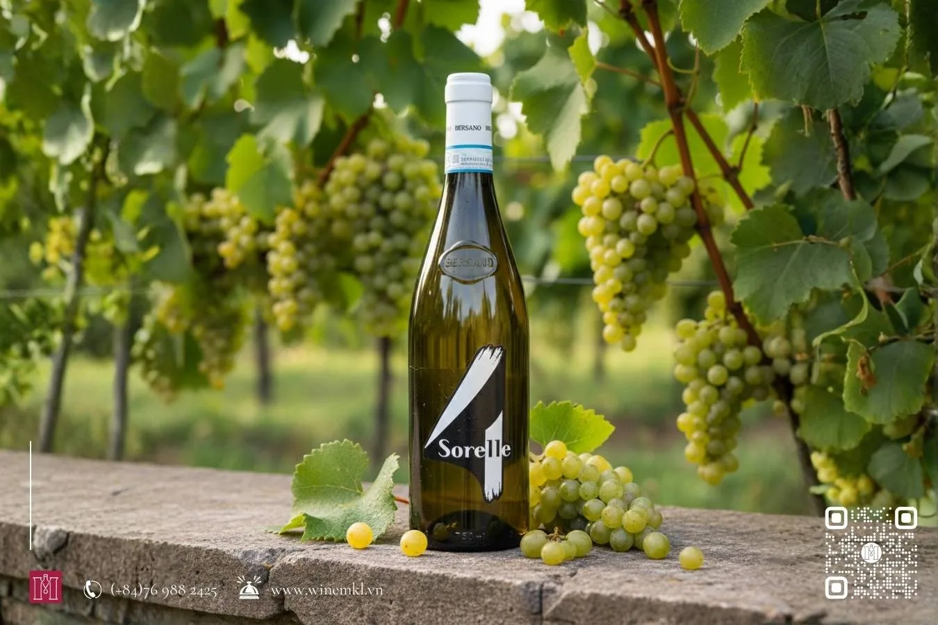 Rượu vang trắng Ý Piemonte D.O.C. Sauvignon 4 Sorelle 2 ruou vang trang italy piemonte sauvignon 4 sorelle 1 - Shop rượu vang nhập khẩu Wine MKL